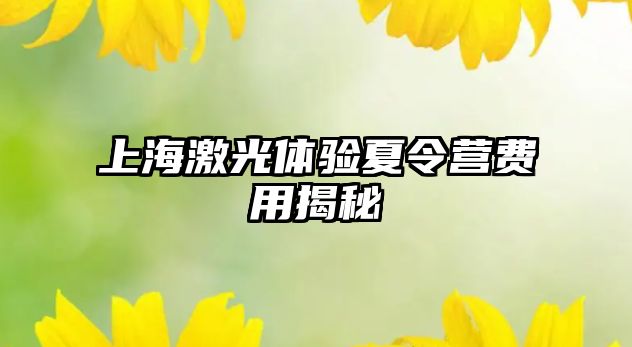 上海激光體驗夏令營費用揭秘