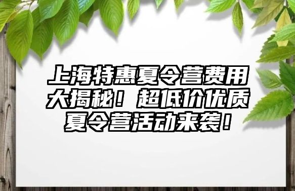 上海特惠夏令營費用大揭秘！超低價優質夏令營活動來襲！